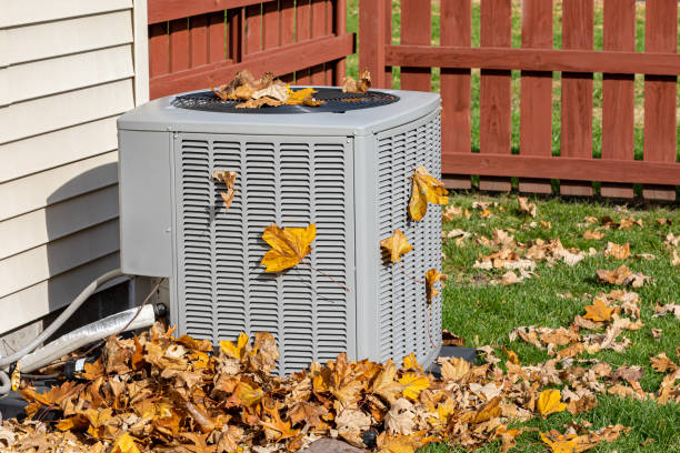 Best Local HVAC Companies  in Montezuma, GA